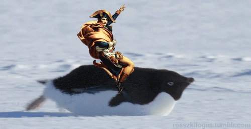 Ride your penguin to eternity. 